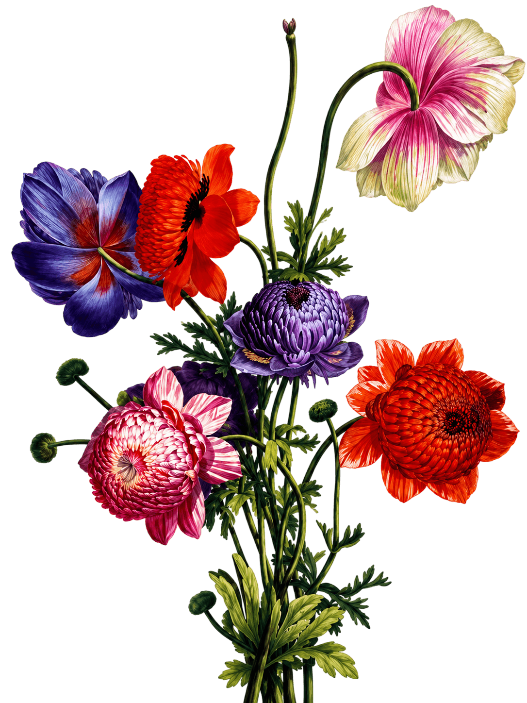 Floral bouquet